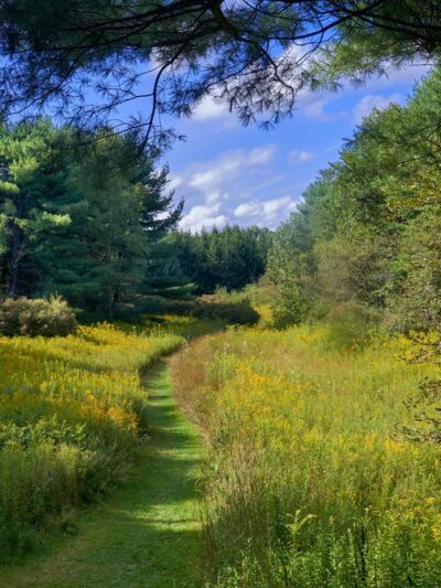 Roy H Park Preserve - North (Short) Trail - Freeville, NY