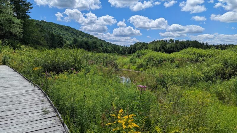 Roy H Park Preserve - North (Short) Trail - Freeville, NY