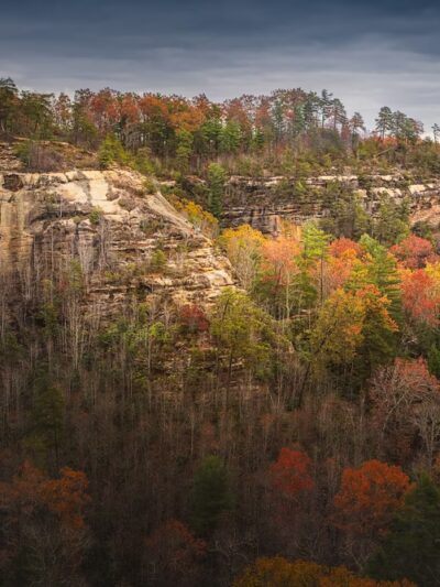 Bison Way Trailhead - Frenchburg, KY