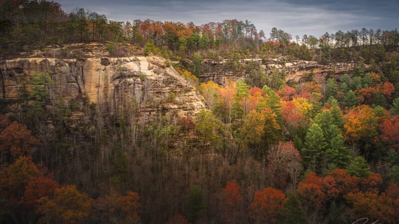 Bison Way Trailhead - Frenchburg, KY