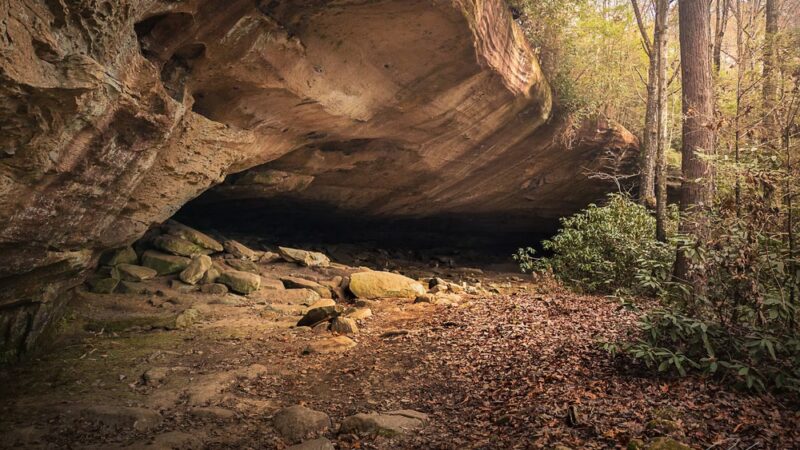 Bison Way Trailhead - Frenchburg, KY
