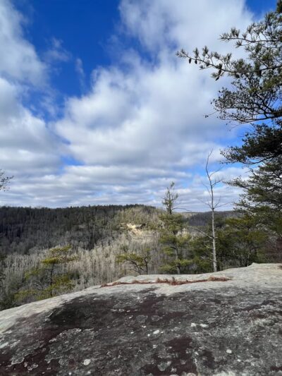 Tarr Ridge Trailhead East and West Loop - Frenchburg, KY