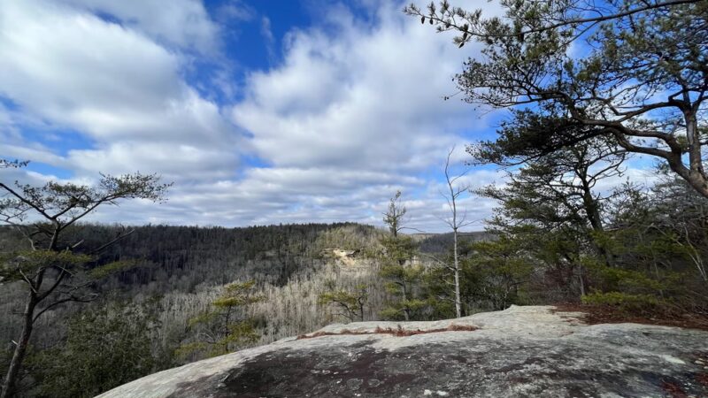 Tarr Ridge Trailhead East and West Loop - Frenchburg, KY