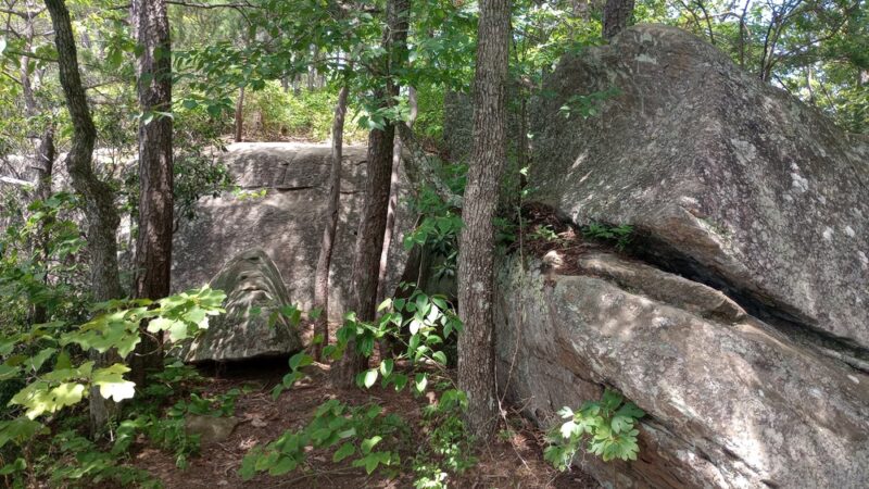 Tarr Ridge Trailhead East and West Loop - Frenchburg, KY