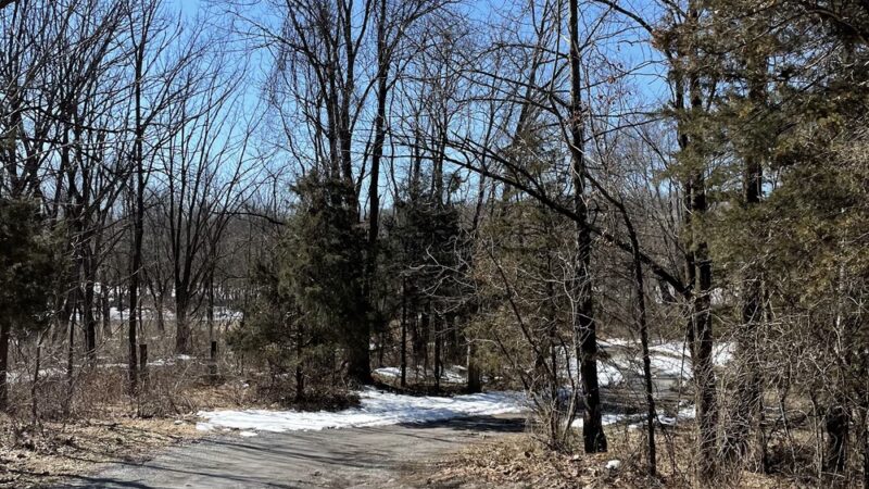 Delaware and Raritan Canal State Park Trail - Frenchtown, NJ