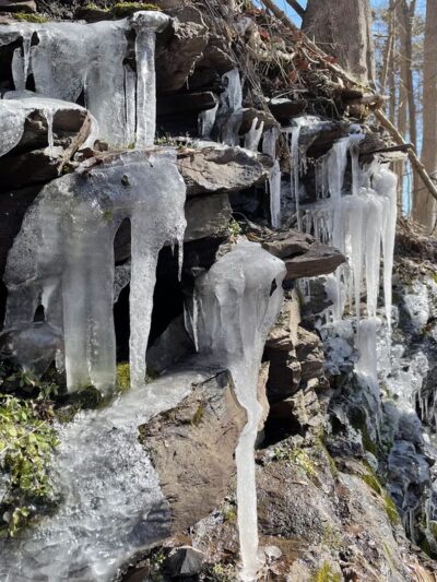 Delaware and Raritan Canal State Park Trail - Frenchtown, NJ