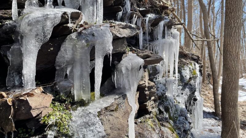 Delaware and Raritan Canal State Park Trail - Frenchtown, NJ