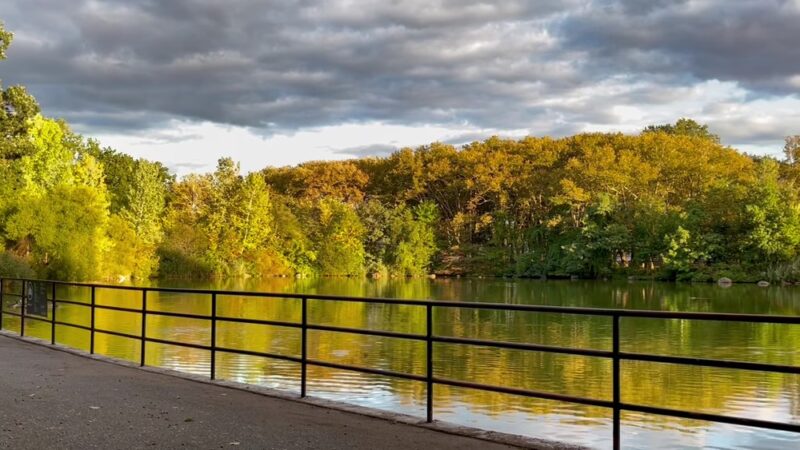 Kissena Park Playground - Fresh Meadows, NY