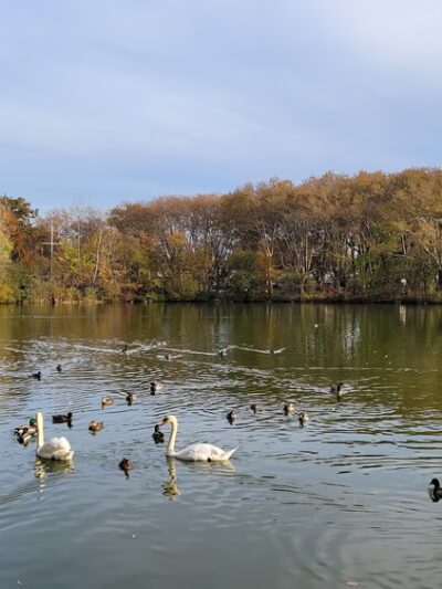 Kissena Park Playground - Fresh Meadows, NY