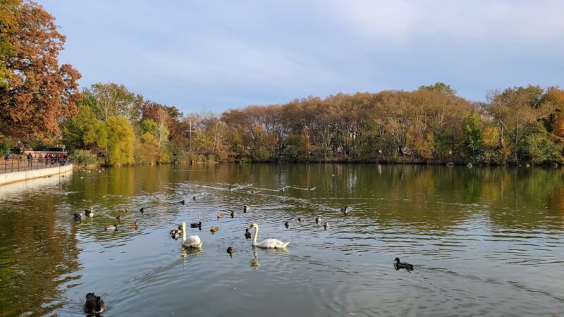 Kissena Park Playground - Fresh Meadows, NY
