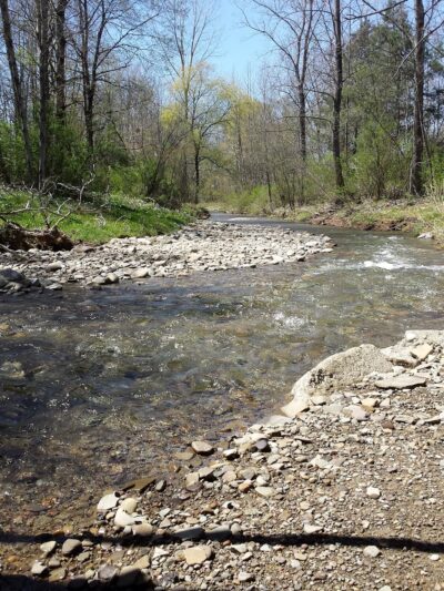 Frewsburg Town Park - Frewsburg, NY
