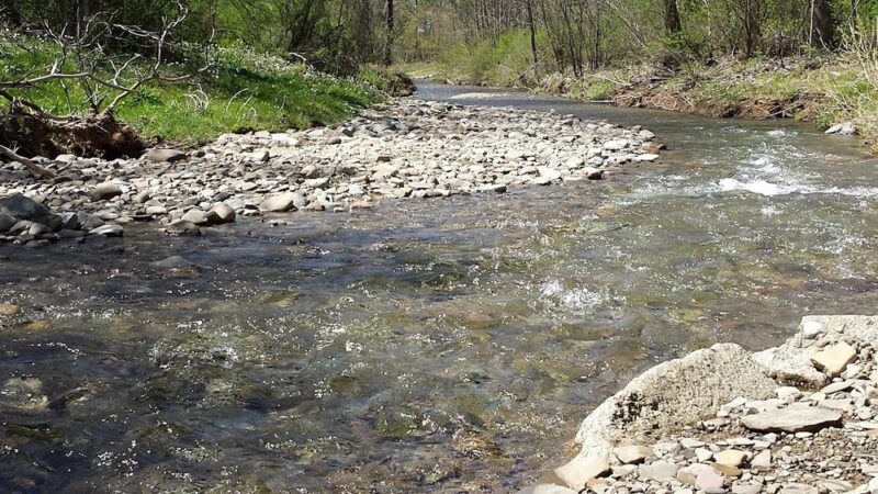 Frewsburg Town Park - Frewsburg, NY