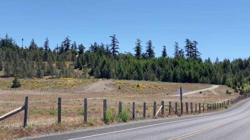 Lafarge Open Space, San Juan Island Park & Recreation (Gravel Pit) - Friday Harbor, WA