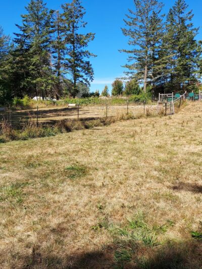 Pup Town Dog Park - Friday Harbor, WA