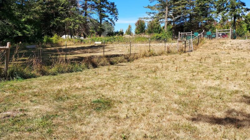 Pup Town Dog Park - Friday Harbor, WA