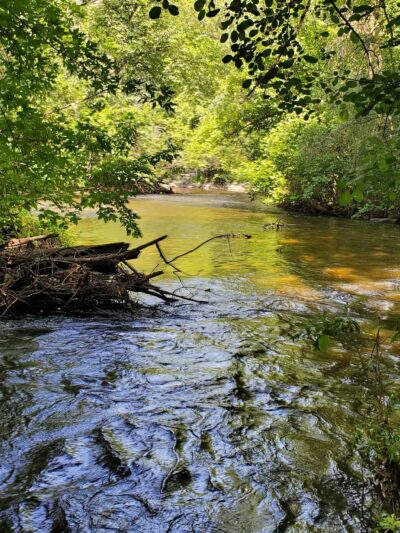 Locke County Park - Fridley, MN