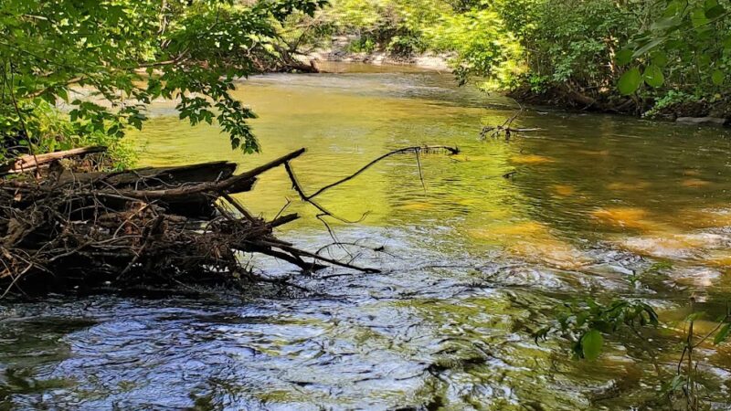 Locke County Park - Fridley, MN