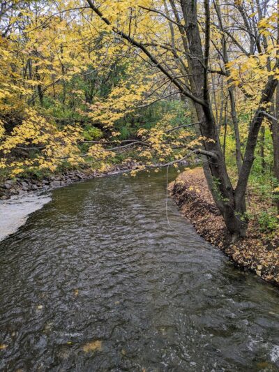 Locke County Park - Fridley, MN