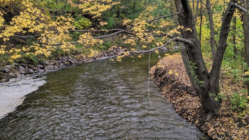 Locke County Park - Fridley, MN