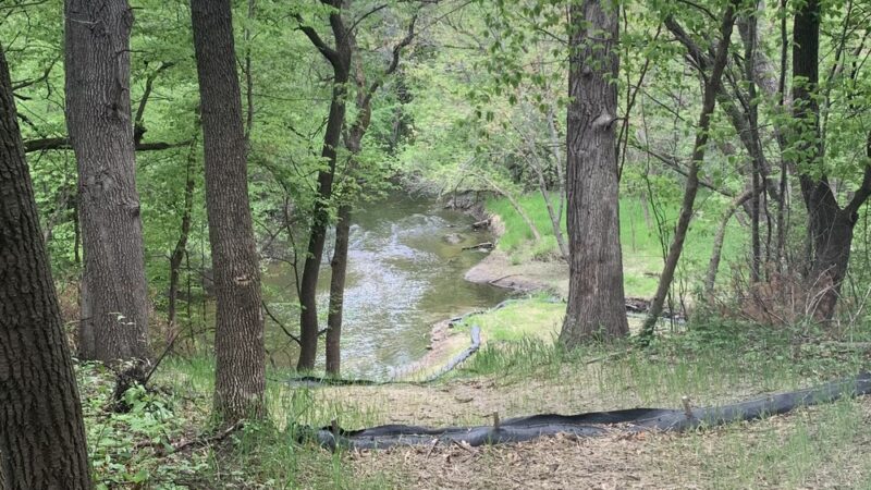 Locke County Park - Fridley, MN