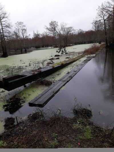 Tigrett Wildlife Management Area - Friendship, TN
