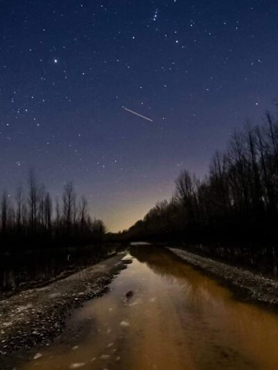 Tigrett Wildlife Management Area - Friendship, TN