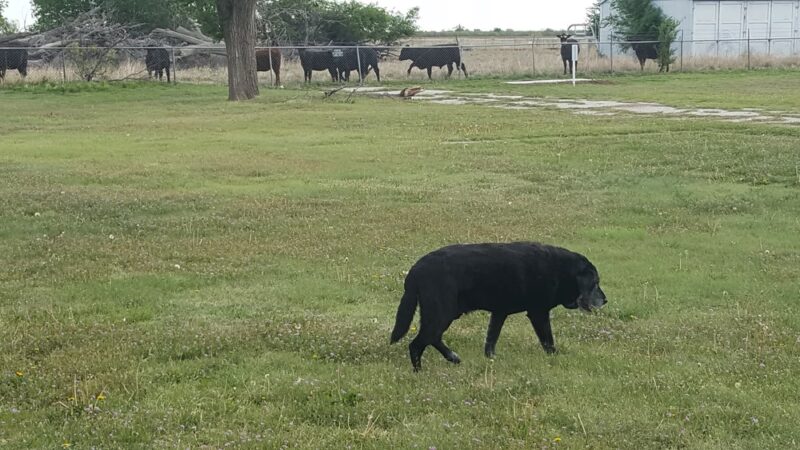Fritch Community Park - Fritch, TX