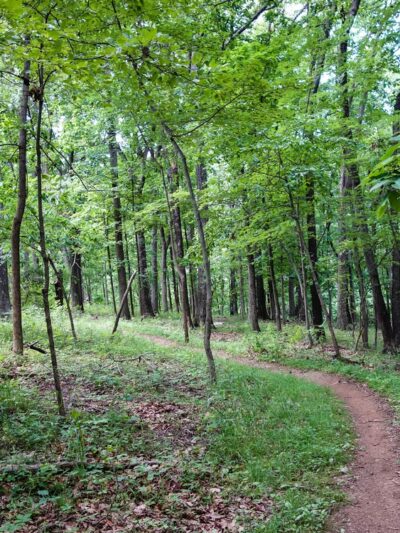 AT-Front Royal Junction - Front Royal, VA