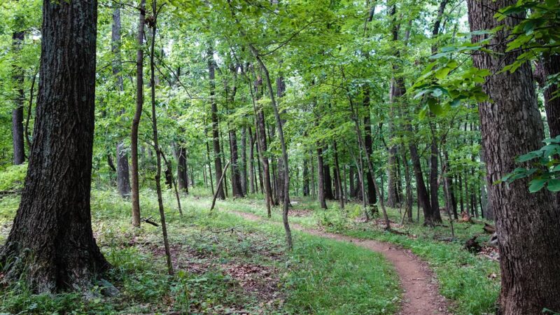 AT-Front Royal Junction - Front Royal, VA