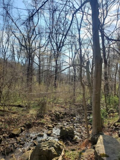 AT-Front Royal Junction - Front Royal, VA