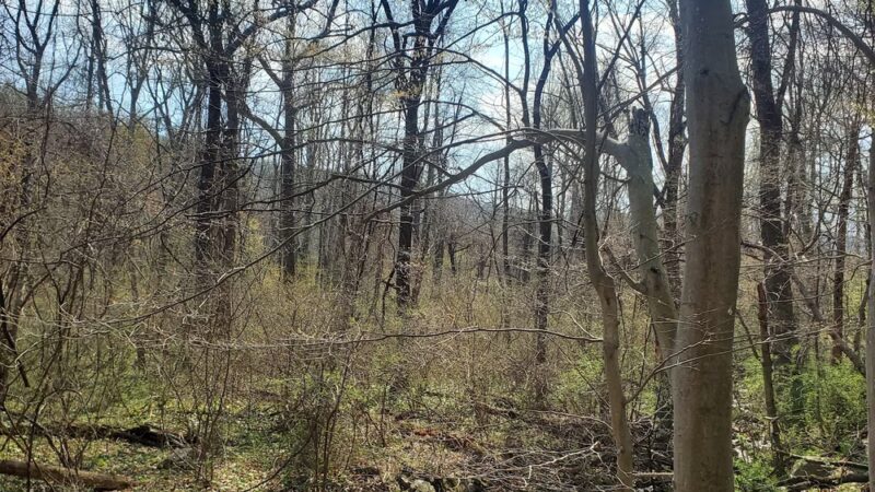 AT-Front Royal Junction - Front Royal, VA