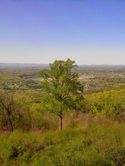Chimney Field Park - Front Royal, VA