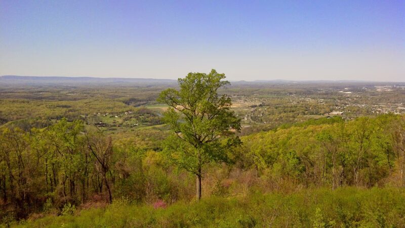 Chimney Field Park - Front Royal, VA