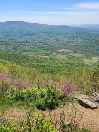 Dickey Ridge Trailhead - Front Royal, VA