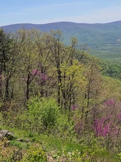 Dickey Ridge Trailhead - Front Royal, VA