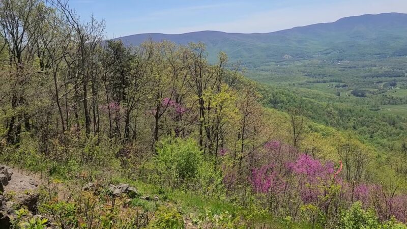 Dickey Ridge Trailhead - Front Royal, VA