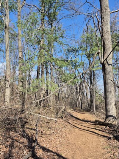 Dickey Ridge Trailhead - Front Royal, VA