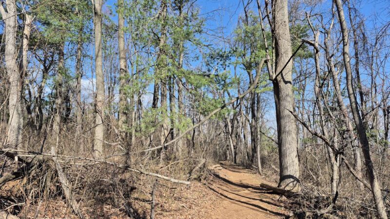 Dickey Ridge Trailhead - Front Royal, VA