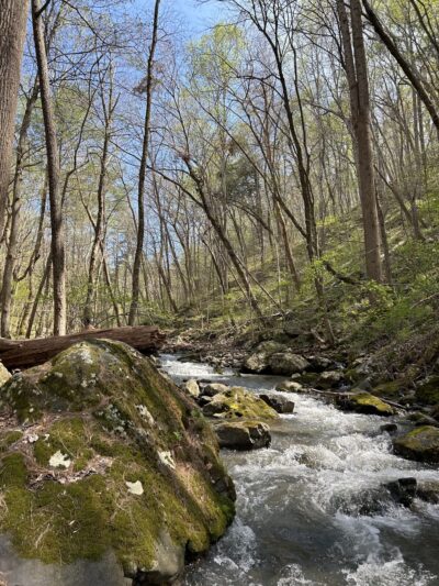Dickey Ridge Trailhead - Front Royal, VA