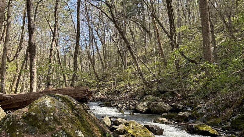 Dickey Ridge Trailhead - Front Royal, VA