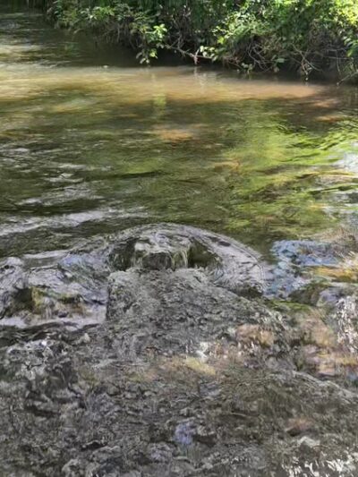 Fantasyland Playground - Front Royal, VA