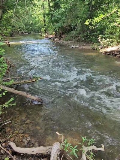 Fantasyland Playground - Front Royal, VA