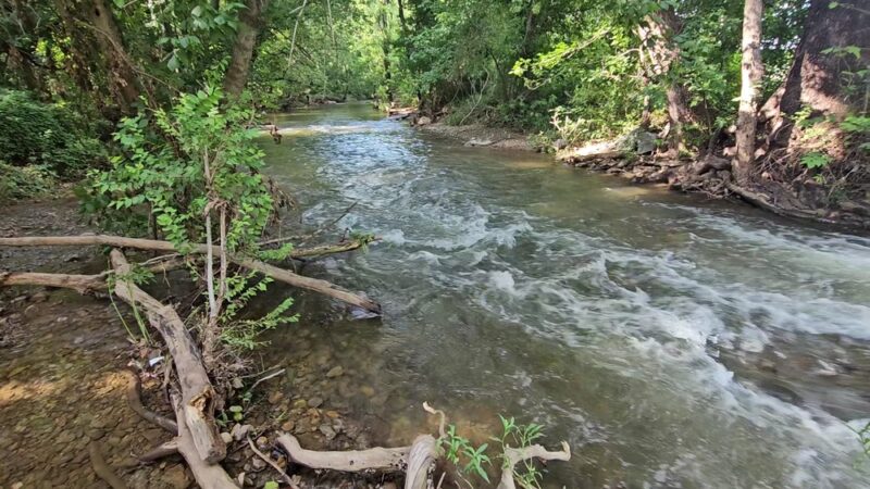 Fantasyland Playground - Front Royal, VA