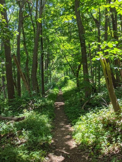 Fox Hollow Trail - Front Royal, VA