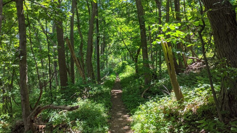 Fox Hollow Trail - Front Royal, VA