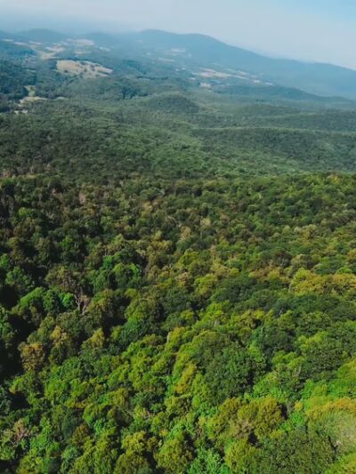 Fox Hollow Trail - Front Royal, VA