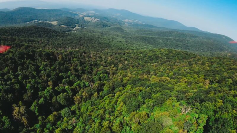 Fox Hollow Trail - Front Royal, VA