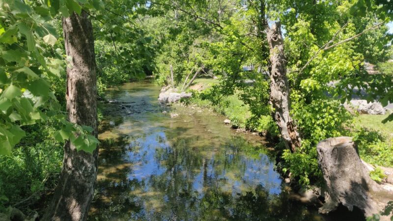 Lions Community Park - Front Royal, VA