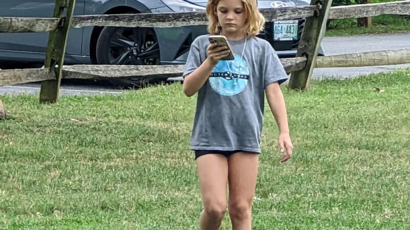 Lions Community Park - Front Royal, VA