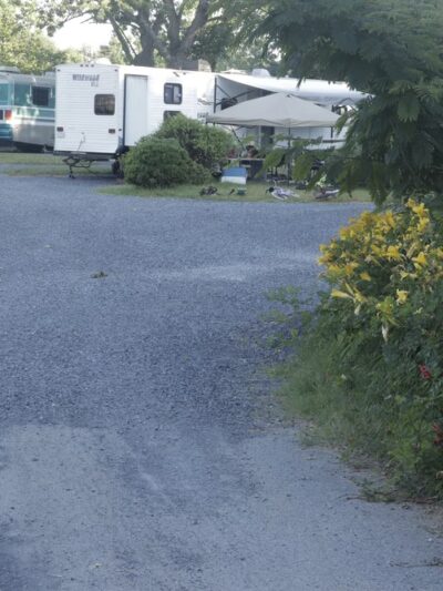 Mountainview RV Campground - Front Royal, VA